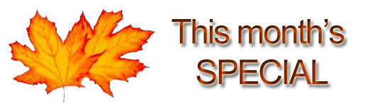 This month's special