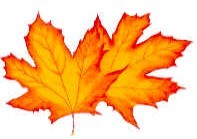 Glass Treasures Logo